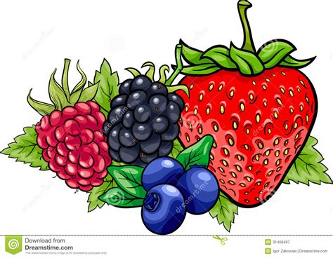 Wild Berry Clipart 20 Free Cliparts Download Images On Clipground 2023