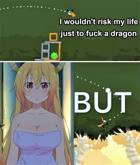 Wouldn T Risk My Life Just To Fuck A Dragon Ifunny