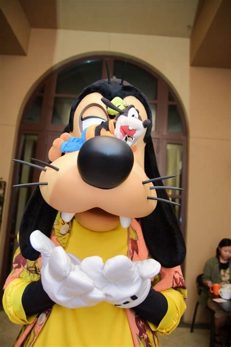 Pin By Megaria Suparmun On Disney Goofy Pictures Disney Aesthetic