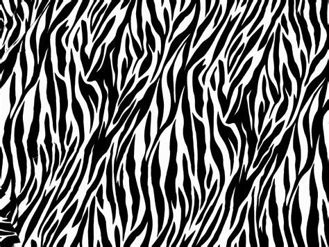 Free Zebra Print Wallpaper Download Free Zebra Print Wallpaper Png