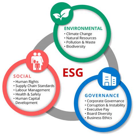 Esg And Sustainability Take Off
