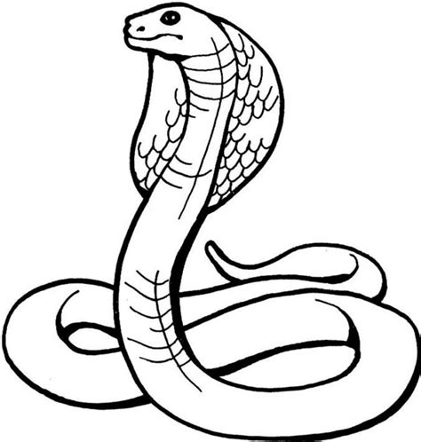 Ingyenes Ingyenes Nyomtatható Kígyó Színező Oldal Ingyenes Clip Art és