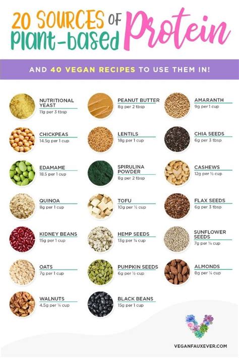 The Ultimate Cheat Sheet To Vegan Protein Sources 20 High Protein