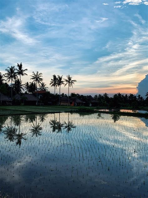 Calming Sunset Vibes Over The Rice Fields Of Bali Still So Many Parts