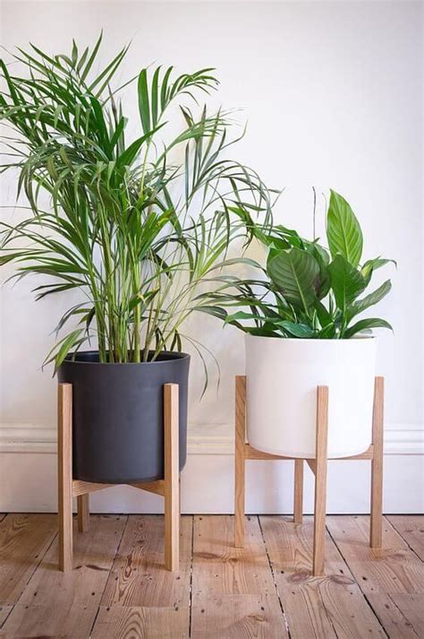 32 Office Plants Youll Want To Adopt Plant Decor Mid Century Modern