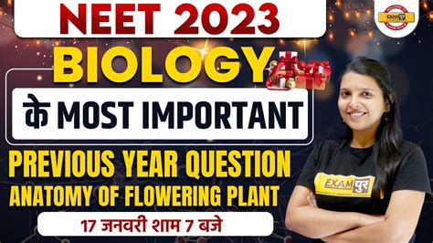 Neet 2023 Anatomy Of Flowering Plant Neet Biology Pyq Questions