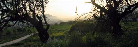 La zona de barra, para un. Dónde comer en Coín