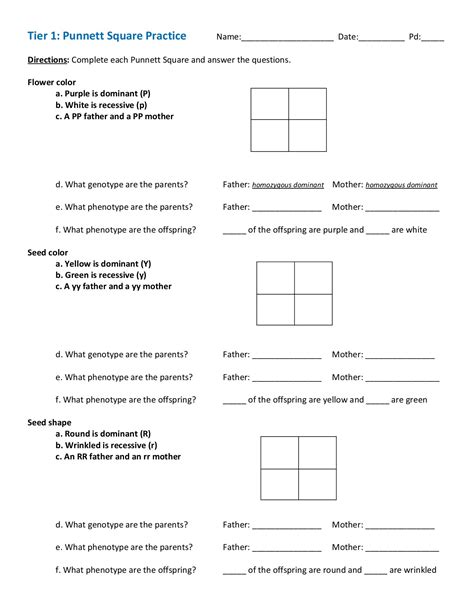 Dihybrid punnett square practice with answers. Punnett Square Practice Worksheet - slidesharefile