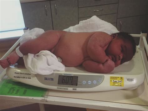 Baby Brian Is One Of Australias Biggest At 606kg Thats 13lbs 6ozs