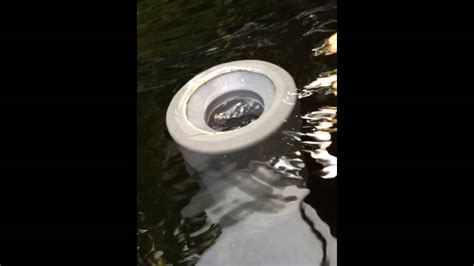 There is a noticeable difference of the removal of bugs and small debris sitting on the top of the water. DIY koi pond Floating Surface Skimmer - YouTube
