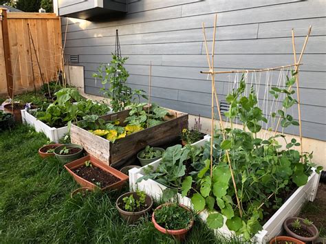 How To Get Started Gardening In The Pnw Explore Washington State
