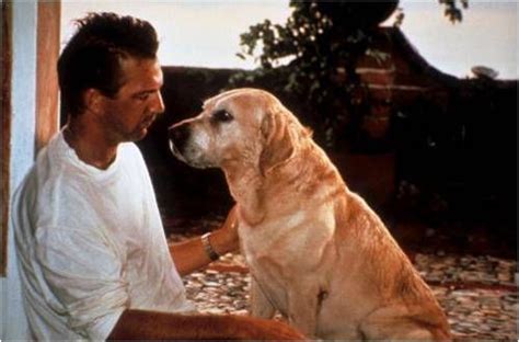 Kevin Costner In Revenge Kevin Costner All Movies Classic Movies