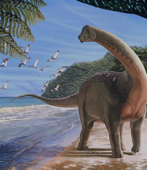 New Species Of Dinosaur Is A Holy Grail Of Titanosaur Fossil Finds