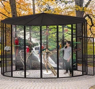 The big bird cage, амстердам. Big Bird Cages & Enclosures, Quality Engineered | Custom Cages