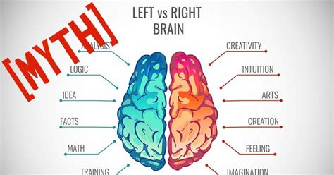 Myth The Left And The Right Brain Hemisphere Are Fundamentally Different