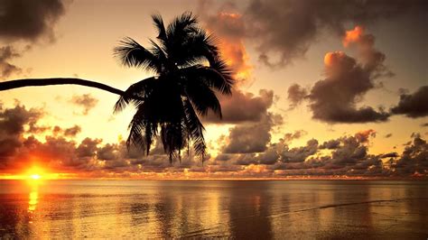 Tropical Sunset Wallpapers Wallpaper Cave