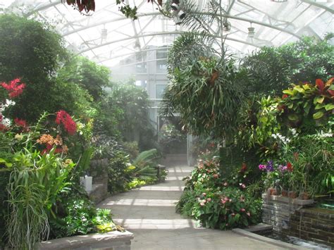 Inside The Conservatory At The Lewis Ginter Botanical Garden