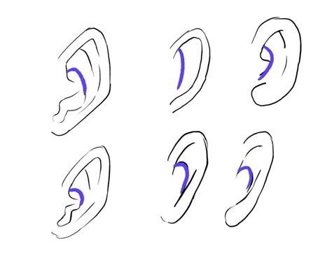 How To Draw Anime Ears Go Anime Website