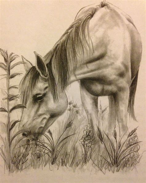 Pin By Sarah Lorenz On Horse Happy Horse Drawings Horse Drawing