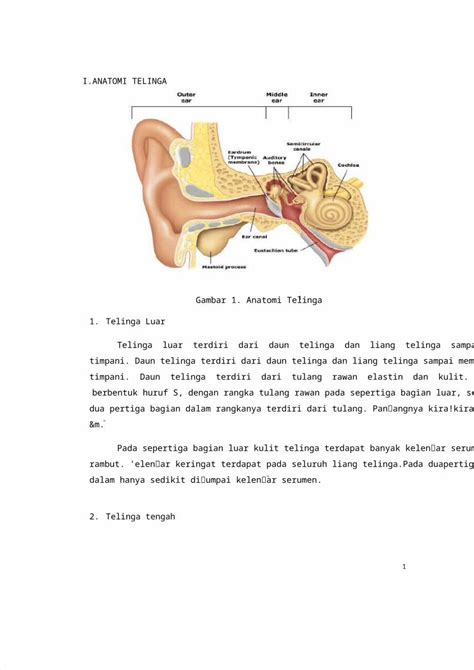 Doc Anatomi Telinga Dan Fisiologi Pendengaran Dokumen Tips