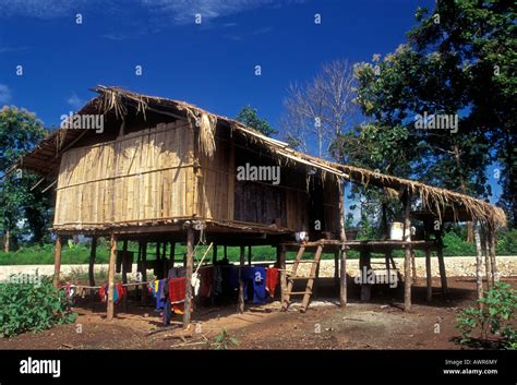 Maison Sur Pilotis En Bambou Bamboo House Maison Sur Pilotis Village