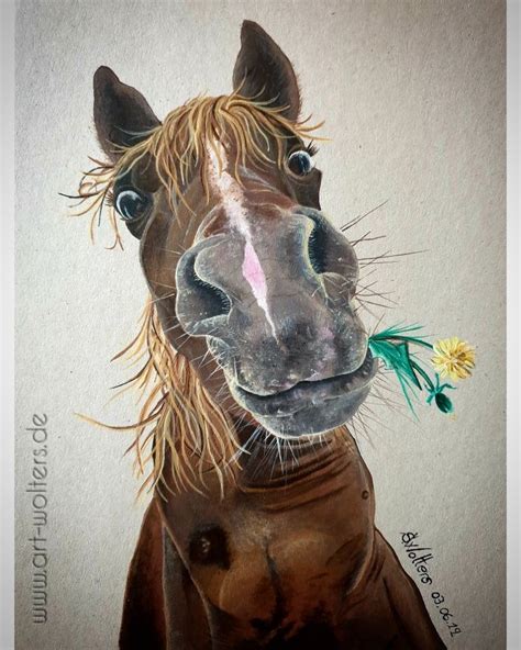 A Drawing Of A Horse With Long Hair And A Flower In Its Mouth