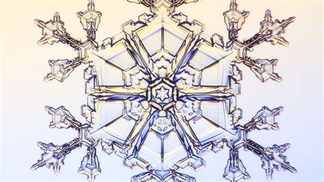 Growing Snowflakes For Science