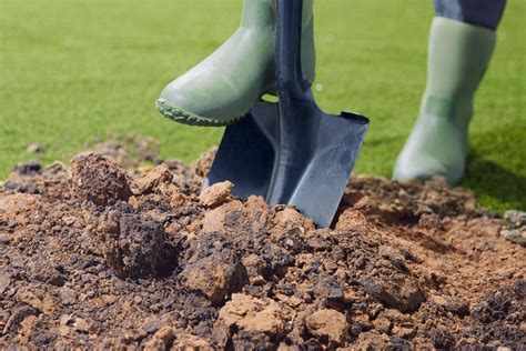 Understanding Clay Soil And How To Improve It
