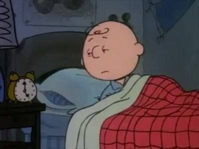 Pin On Charlie Brown Snoopy And The Whole Peanuts Gang