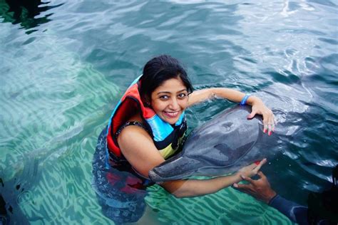 5 Places Where You Can Swim With Dolphins In Bali Fravel