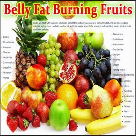 Fat Burning Foods Belly Appstore For Android