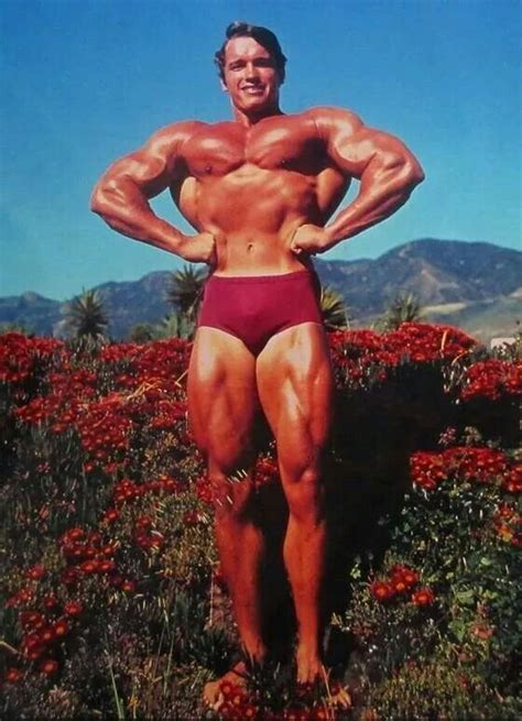Pin By Fitnesshealthsupplementsc On Arnold Schwarzenegger