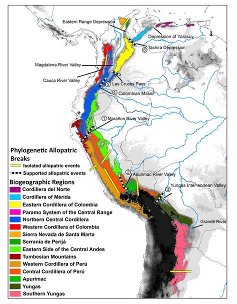 New Study Reveals How The Complex Biodiversity Of The Tropical Andes