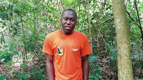 Rainforest Trust Fellow Francis Osei Gyan Of Herp Conservation Ghana