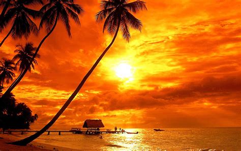 Bora Bora Tropical Sunset Beach Palm Trees Red Sky Clouds