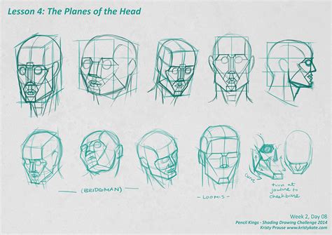 drawing the planes of the head