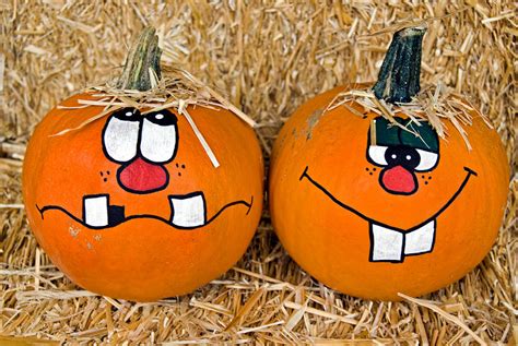 Funny Pumpkin Faces Photograph By Maria Dryfhout Pixels