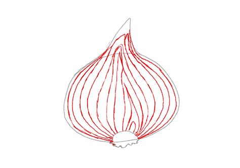 How To Draw An Onion Design School