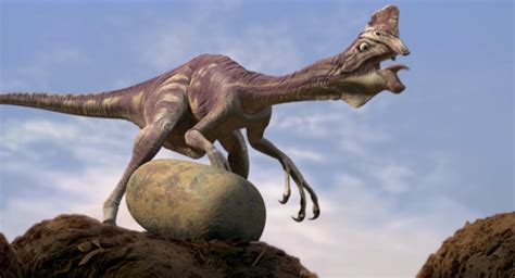 The standard fee for egg donation ranges from $6,000 to $10,000 usd per donation. Oviraptor dinosaur is known with the interesting name "egg ...