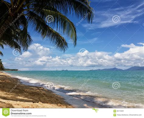 The Sandy Shores Of The Azure Sea Waves And Palm Trees