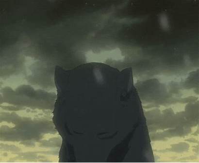Wolf Anime Howling Wolves Scene Toboe Rain