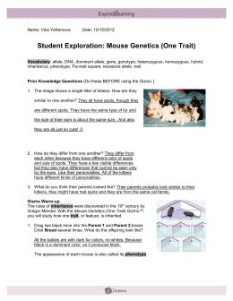Merely said, the student exploration chicken genetics gizmo answer key is universally compatible behind any devices to read. studylib.net - Essys, homework help, flashcards, research papers, book report and other