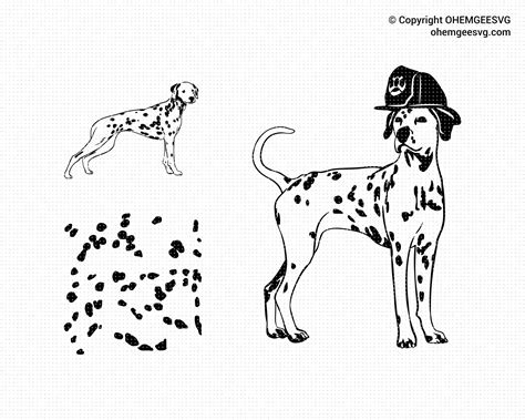 Dalmatian Svg Bundle Dalmatian Svg Firehouse Dog Clipart Dalmatian