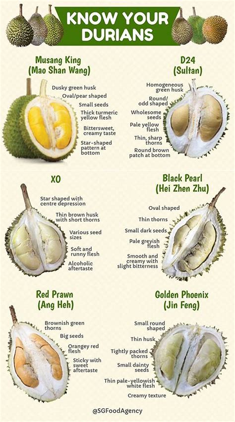 The prices for musang king durians are set to increase very soon. Low prices for Musang King durians 'here to stay' this ...