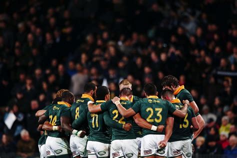 The british & irish lions outplayed the springboks in the second half to win the. Reaction to Springboks' horror loss to All Blacks | Sport24
