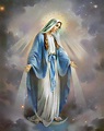 The Blessed Virgin Mary Photograph by Samuel Epperly - Pixels