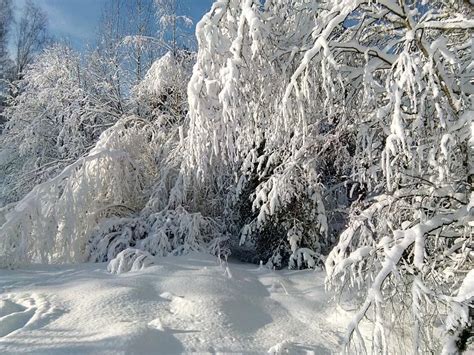 winter fairy tale winter in russia snow kingdom winter landscape stock image image of forest