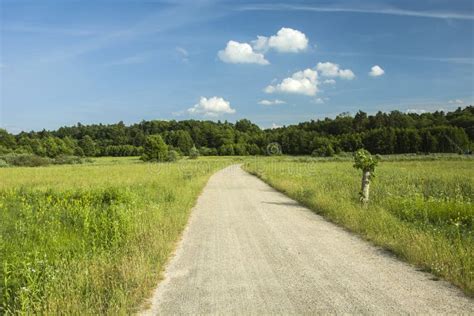 Gravel Road Through Meadow To The Woodland Stock Photo Image Of Alley