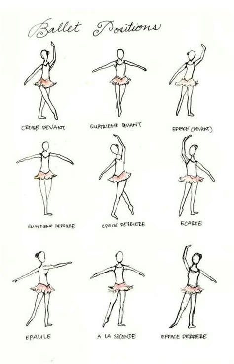 Positions En Ballet Classique Ballet Dancers Ballet Technique Dance Technique