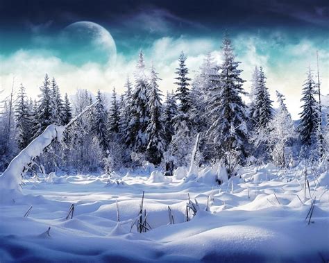 Download Wallpaper 1280x1024 Wood Fur Trees Snow Snowdrifts Fog